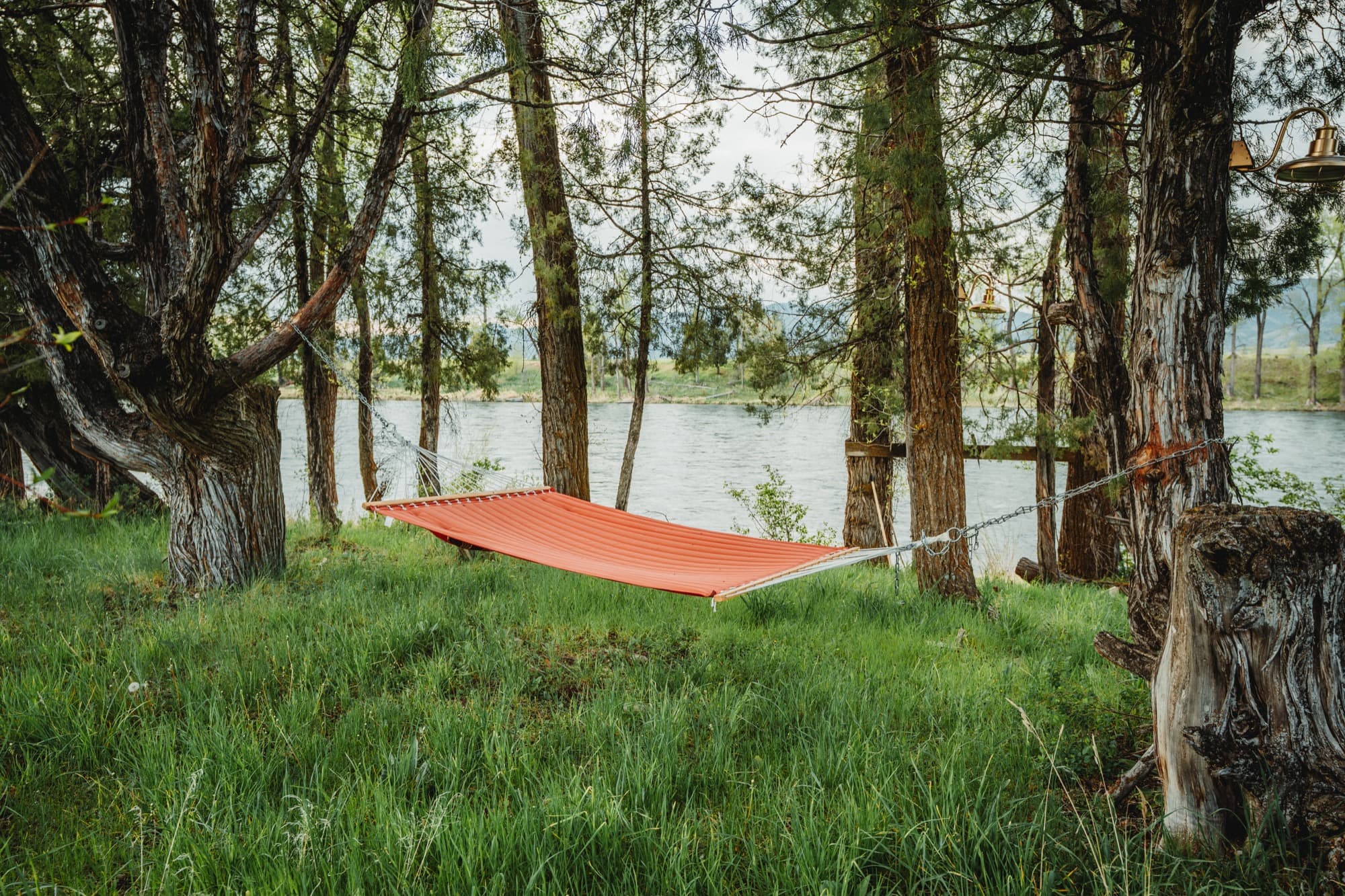 Hammock strung between trees on the bank of the Snake River