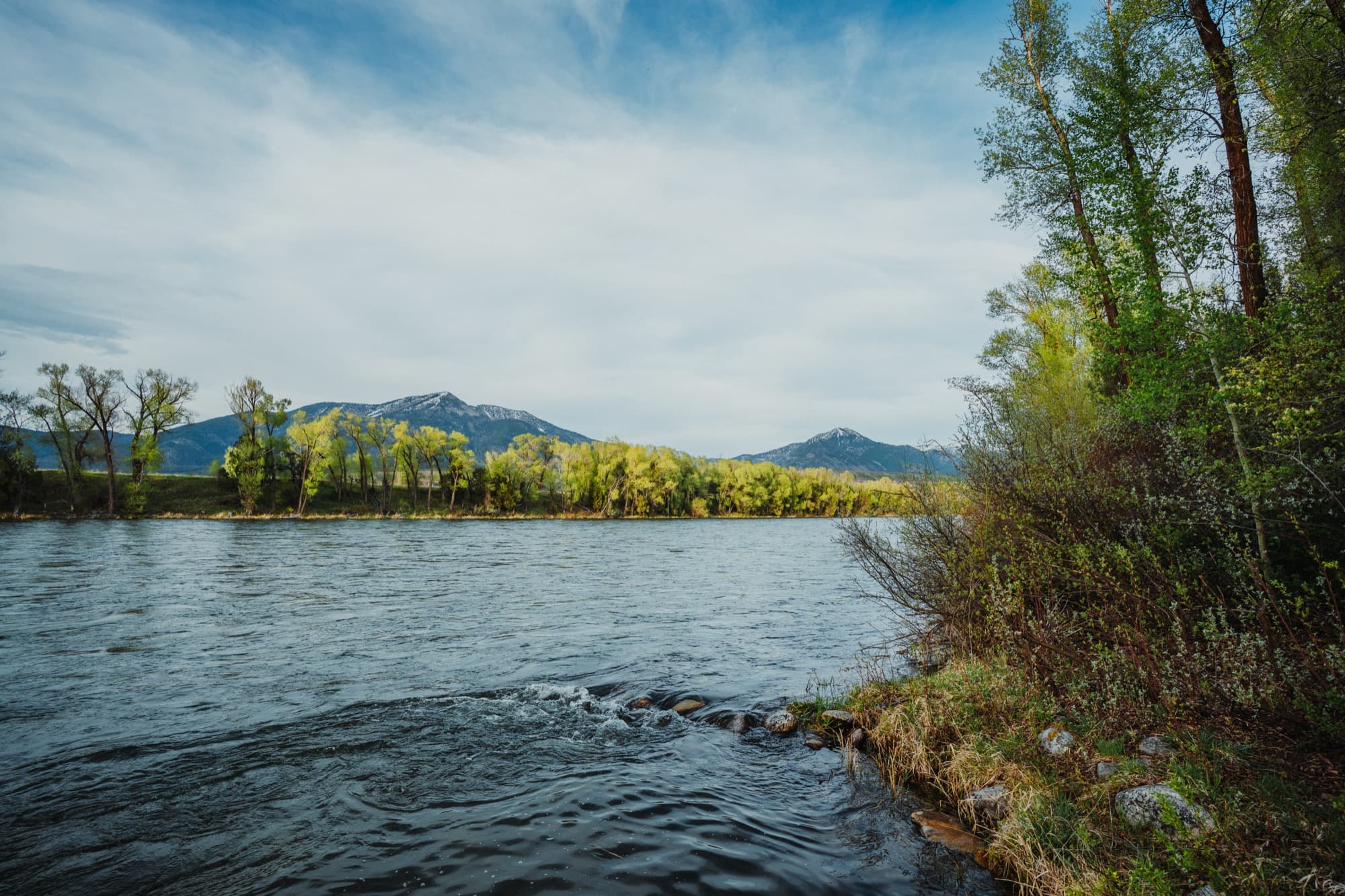 The Snake River flowing past cottonwoods with mountain peaks behind, Swan Valley, Idaho